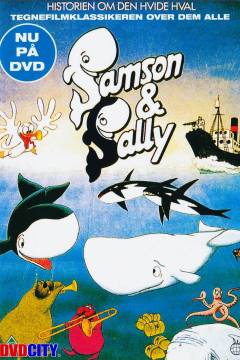 Film (dvd), 2007