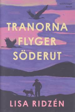 Tranorna flyger söderut
