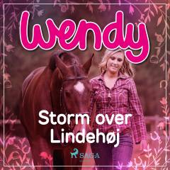 Wendy - storm over Lindehøj