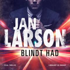 Blindt had : en legal thriller