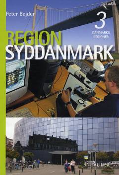 Region Syddanmark