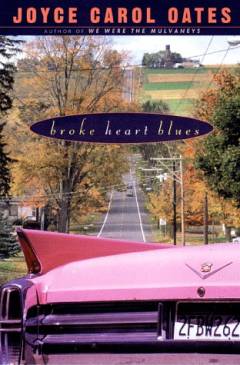 Broke heart blues : a novel