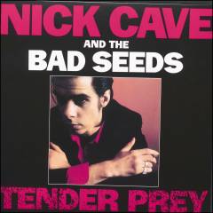Tender prey