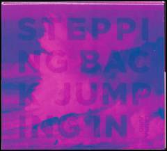 Stepping back, jumping in