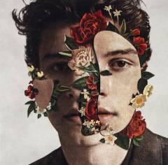 Shawn Mendes