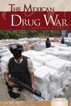 The Mexican drug war