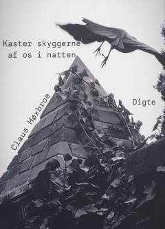 Kaster skyggerne af os i natten : digte
