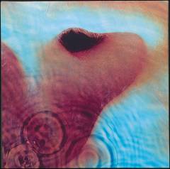 Meddle