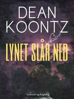Lynet slår ned