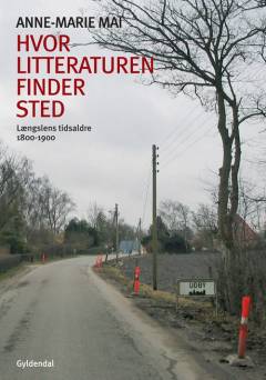 Hvor litteraturen finder sted : bidrag til dansk litteraturs historie. Bind 2 : Længslens tidsaldre - 1800-1900