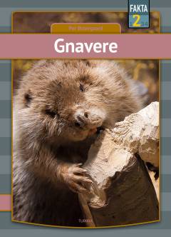 Bog, 1. udgave, 2021