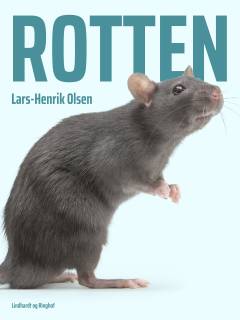 Rotten