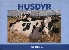 Husdyr