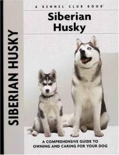Siberian husky