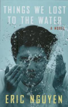 Things we lost to the water : a novel