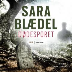 Lydbog (online), 2013