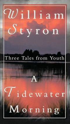 A Tidewater morning : three tales from youth