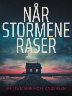 Når stormene raser : styrke findes i stilhedens dybde
