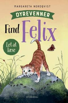 Find Felix