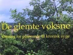 De glemte voksne : omsorg for pårørende til kronisk syge