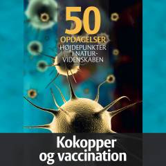 Kokopper og vaccination