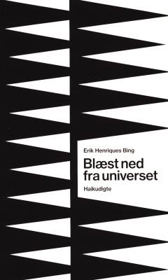 Blæst ned fra universet : haikudigte