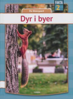 Dyr i byer