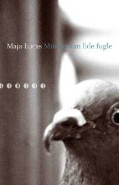 Min far kan lide fugle