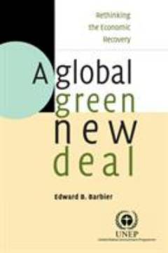 A global green new deal : rethinking the economic recovery