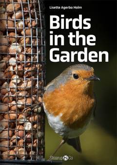 Birds in the garden
