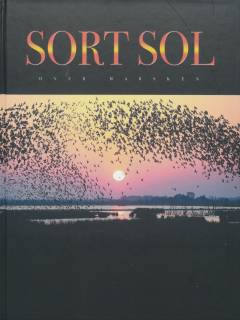 Sort sol over marsken