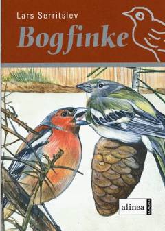 Bogfinke
