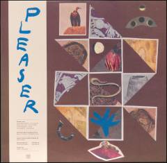 Pleaser