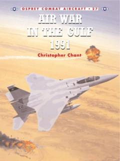Air war in the Gulf 1991