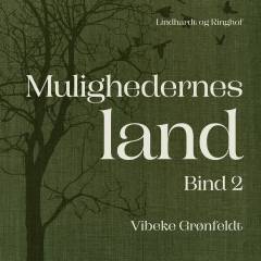 Mulighedernes land. Bind 2