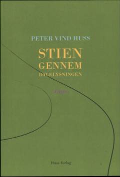 Stien gennem dalelysningen