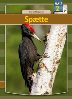 Bog, 1. udgave, 2020