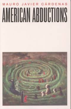American abductions : a novel