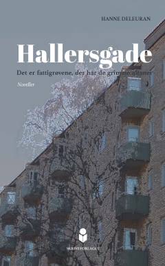 Hallersgade : det er fattigrøvene, der har de grimme altaner