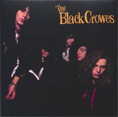 Shake your money maker