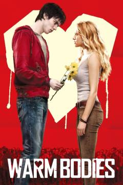 Film (dvd), 2013