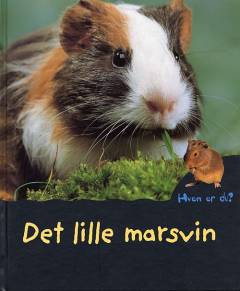 Det lille marsvin