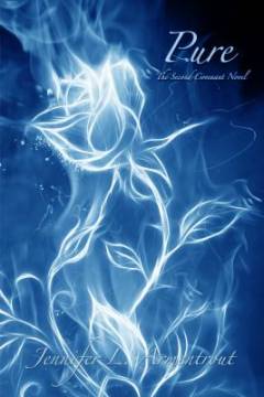 Pure : the second covenant novel