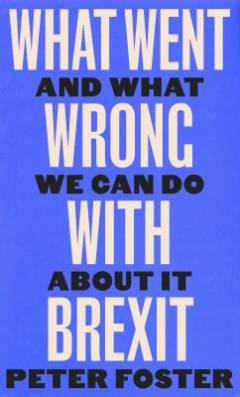What went wrong with Brexit : and what we can do about it