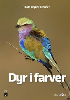 Dyr i farver