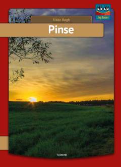 Pinse