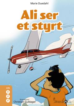 Ali ser et styrt