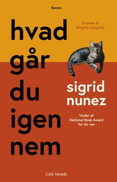 Hvad går du igennem