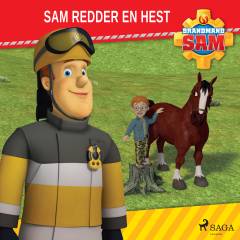 Sam redder en hest