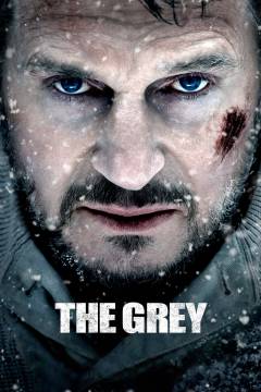 The grey